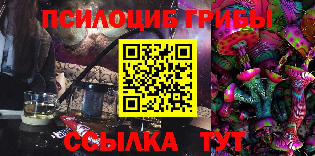 Пушкино  Галлюциногенные грибы MAGIC MUSHROOMS  Вход с VPN 