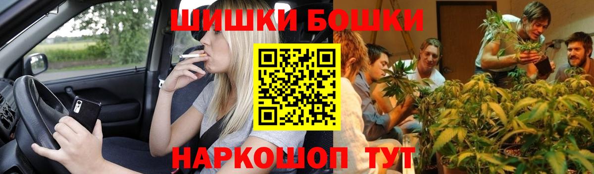 Бошки марихуана VHQ  Вход с VPN  Бошки марихуана семена  Пушкино  Марихуана ГИДРОПОН 